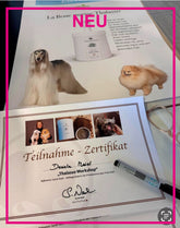 Thalasso-Workshop 08.11.25 (AUSGEBUCHT)