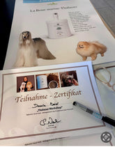 Thalasso-Workshop 14.06.25 (AUSVERKAUFT)